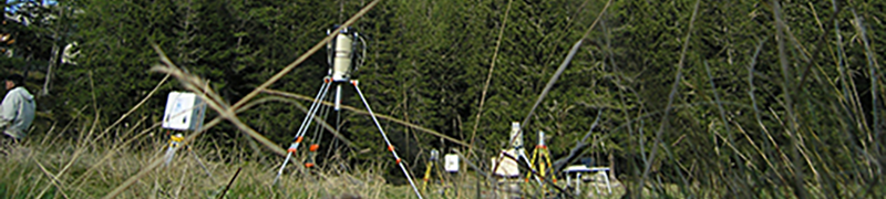 Gammaspektrometrie in-situ