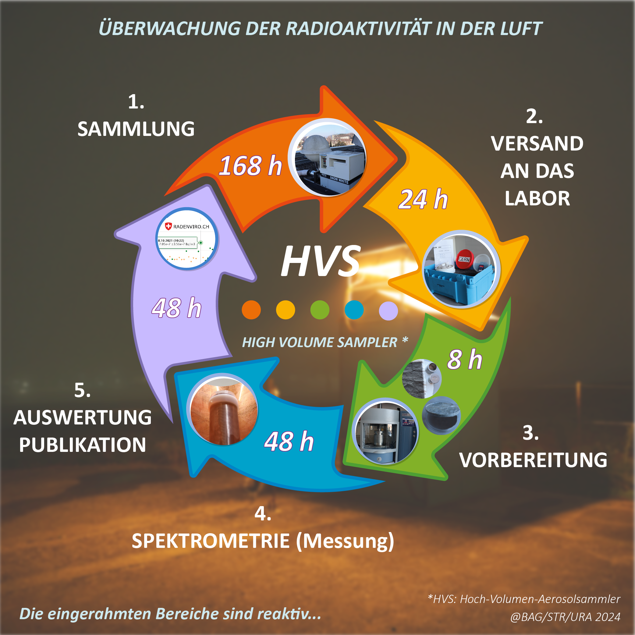 HVS allemand