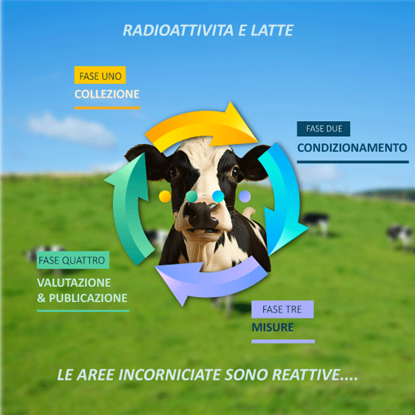 Infographie Lait italien